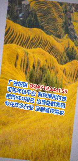 朝鲜族代生信息有限公司